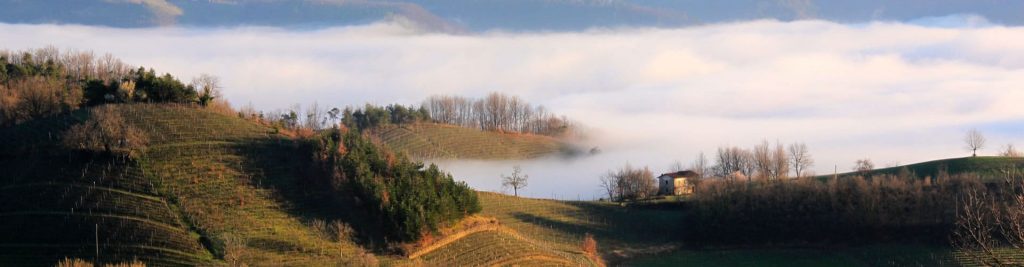 Herbst im Piemont
