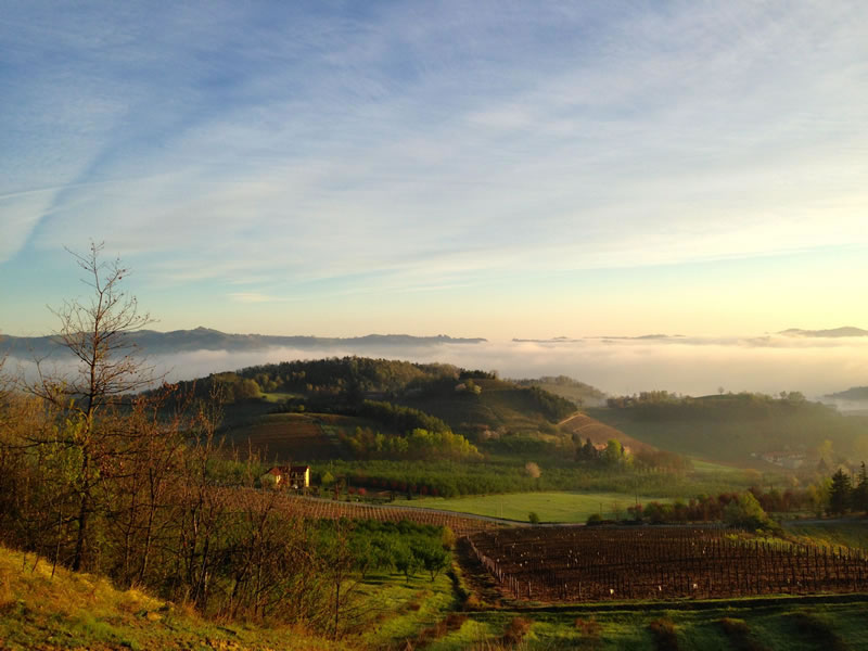 piemont_landschaft_hoch-ueber-der-cascina-grassi.jpg
