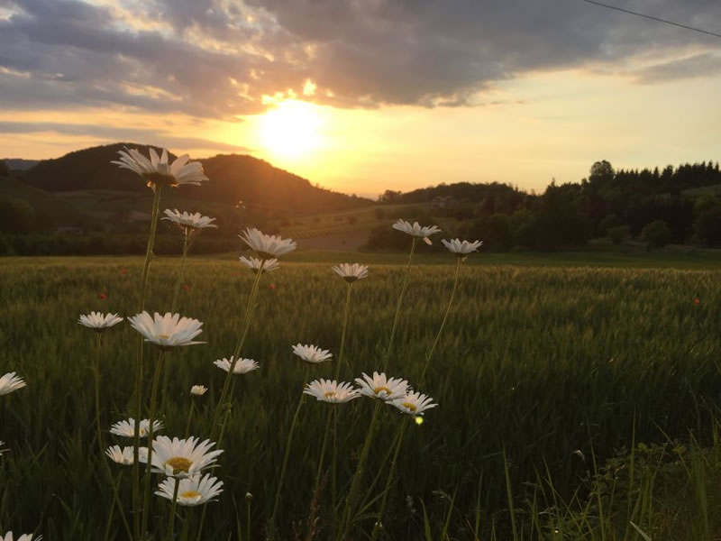 piemont_landschaft_img_0854.jpg