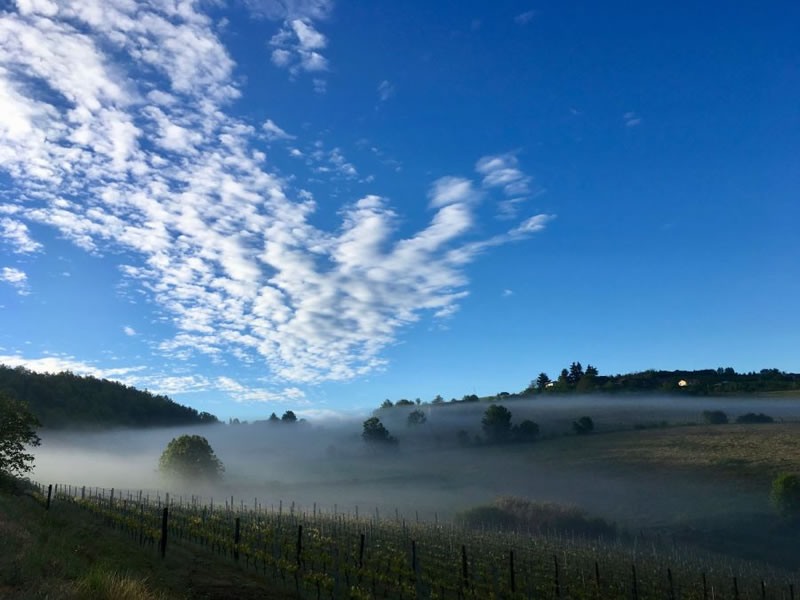 piemont_landschaft_img_1947.jpg