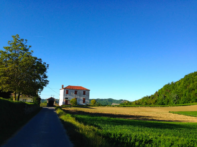 piemont_landschaft_img_2731.jpg