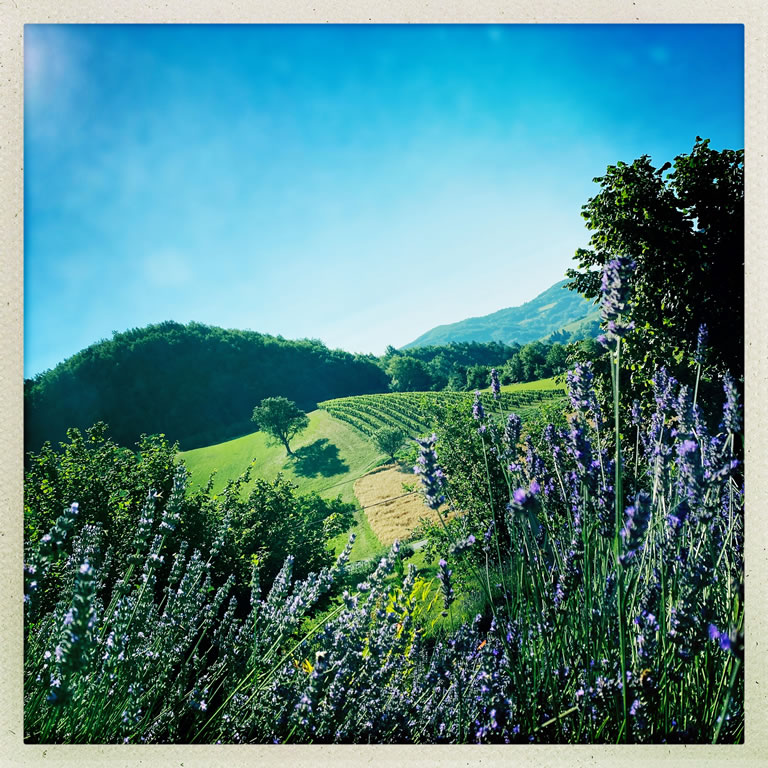 piemont landschaft